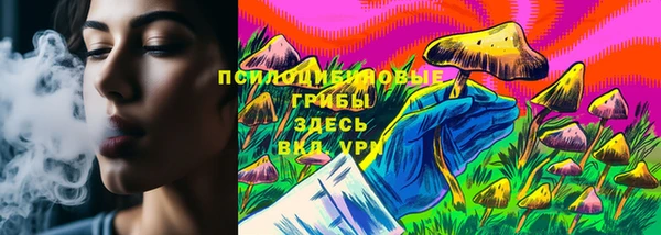 хмурый Алексеевка