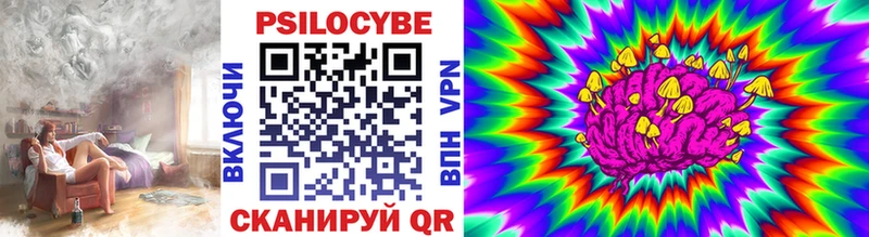 Псилоцибиновые грибы мицелий  сколько стоит  ОМГ ОМГ онион  Тихвин 